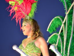 Carnaval de Mula 2012